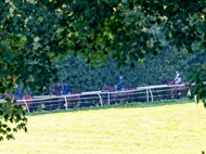 EL130924-5 - Emma Lavelle Stable Visit